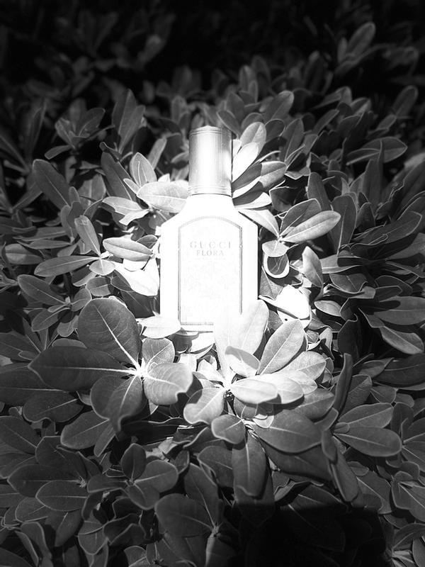 Paco Rabanne Fame – Women's Eau de Parfum - Walmart.com