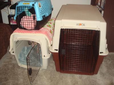 N2n Pet Carrier