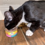 Image 6 of customer photos