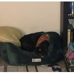 Image 5 of customer photos