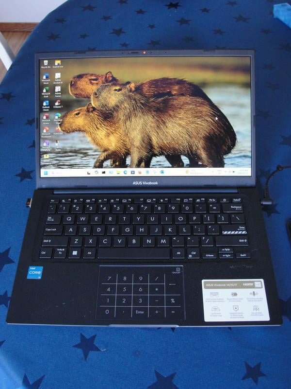 ASUS Vivobook 14