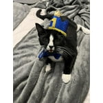 Image 4 of customer photos