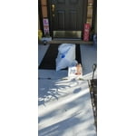 Image 3 of customer photos