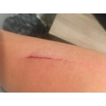 Image 5 of customer photos