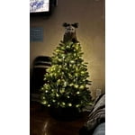 Image 6 of customer photos