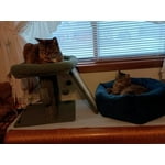 Image 4 of customer photos