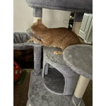 Image 4 of customer photos