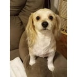 Image 2 of customer photos