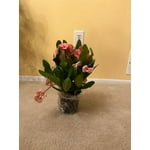 Image 5 of customer photos