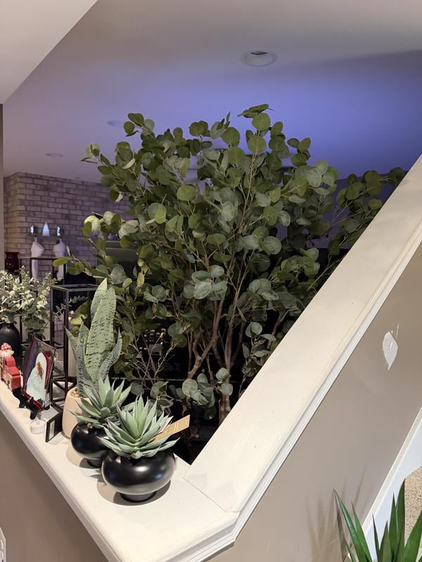 オリーブの太木7本セット 約13kg Artificial 7' Premium Eucalyptus Tree in Oversized Pot - Samsclub.com