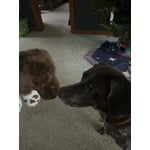 Image 1 of customer photos