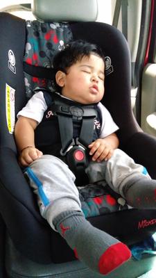 disney baby scenera next