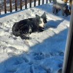 Image 6 of customer photos