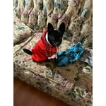 Image 1 of customer photos