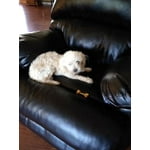 Image 6 of customer photos