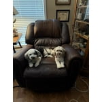Image 4 of customer photos