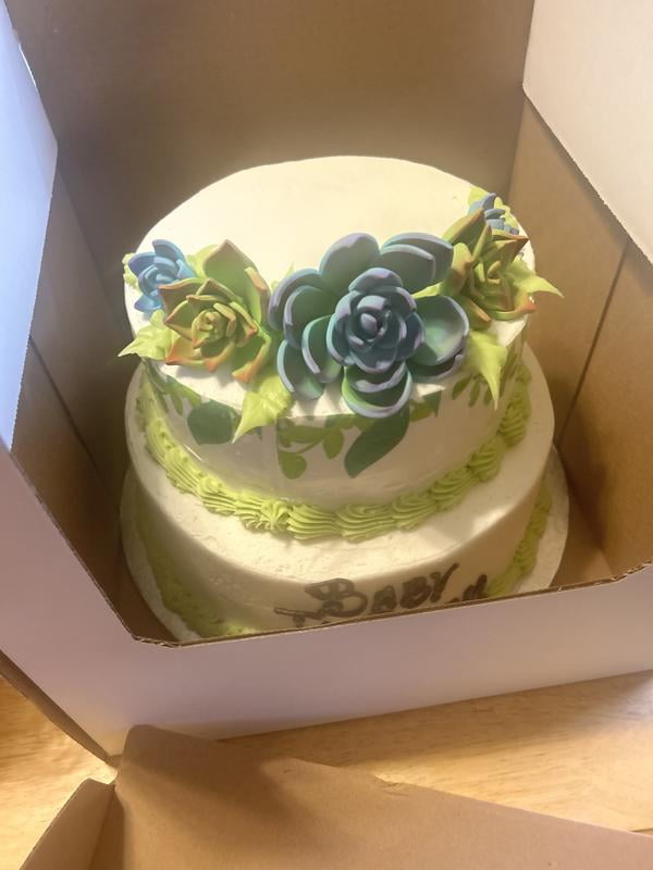 Succulents with Texture Two-Tier Cake - Samsclub.com
