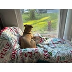 Image 6 of customer photos