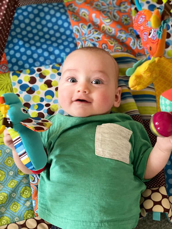 infantino pond pals twist and fold