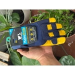 Image 7 of customer photos