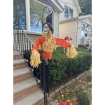 Image 5 of customer photos