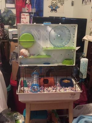 midwest critterville arcade hamster cage