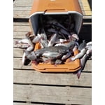 Image 3 of customer photos