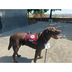 Image 4 of customer photos