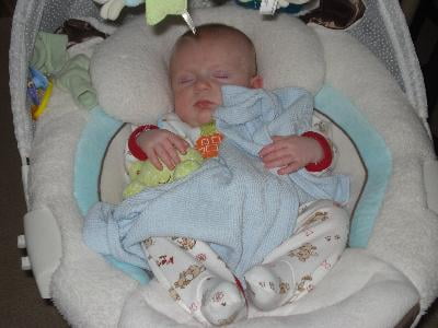 my little lamb cradle n swing manual p0098