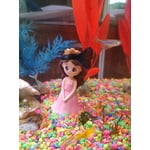 Image 5 of customer photos