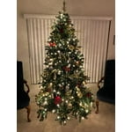 Image 6 of customer photos