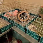 Image 6 of customer photos