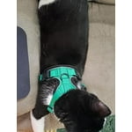 Image 2 of customer photos