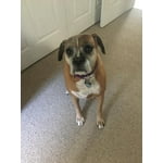 Image 6 of customer photos