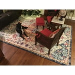 Image 3 of customer photos