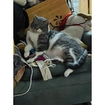 Image 6 of customer photos