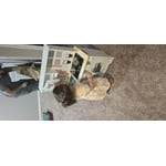Image 4 of customer photos