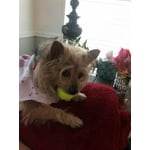 Image 2 of customer photos