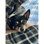 Image 6 of customer photos