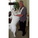 Image 6 of customer photos