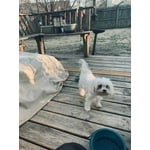 Image 6 of customer photos