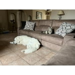 Image 3 of customer photos