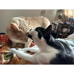 Image 1 of customer photos