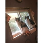 Image 1 of customer photos