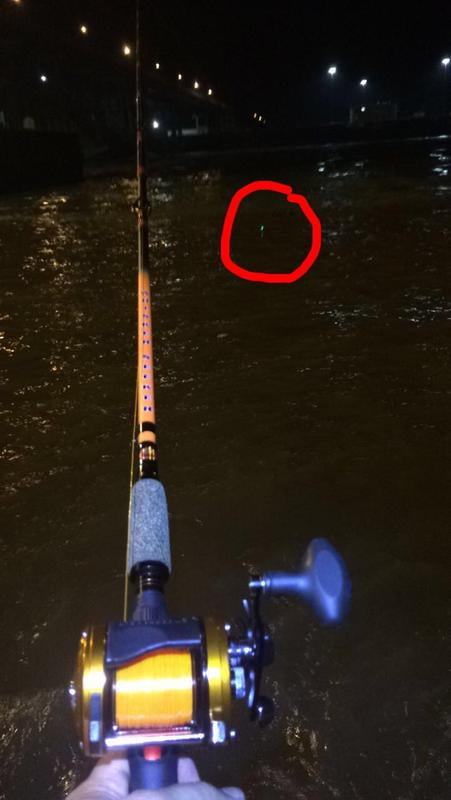 abu garcia ambassadeur c3 catfish special reel