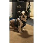 Image 1 of customer photos