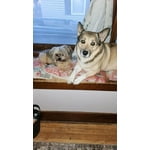 Image 2 of customer photos