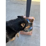 Image 4 of customer photos