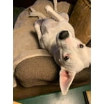 Image 4 of customer photos