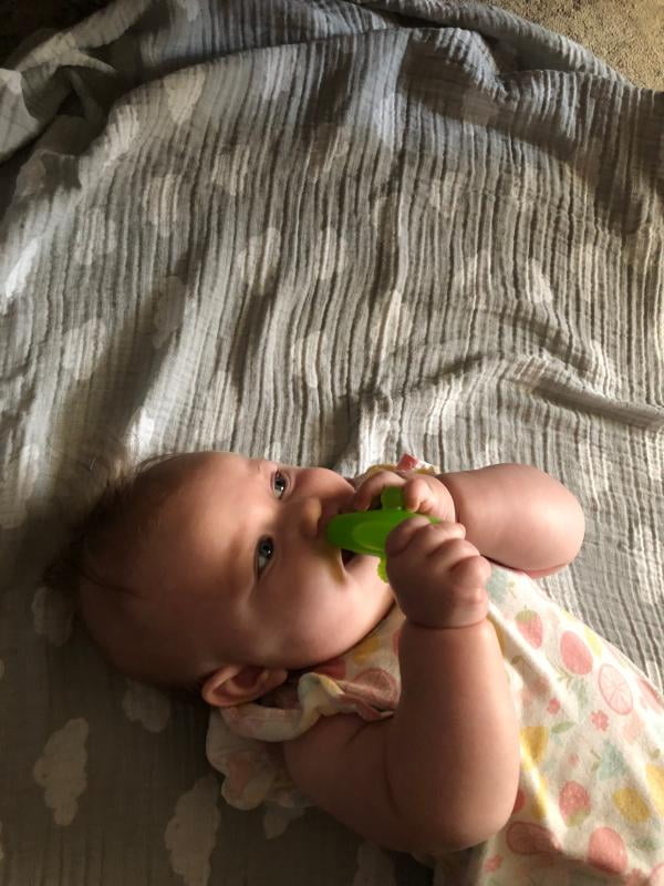 dr brown's nawgum teether